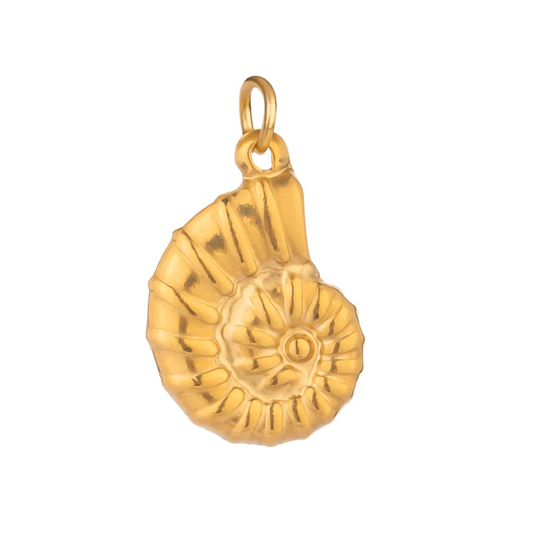 Nautilus Shell