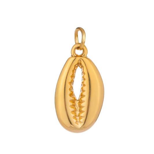 Cowrie Shell